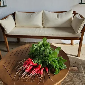 Сasa de vacaciones Sevilla, Olivares