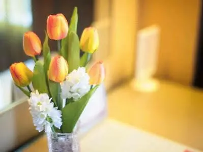 **** Hotel Best Western Plus Tsim Sha Tsui Hong Kong China